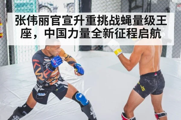 MMA fighter training