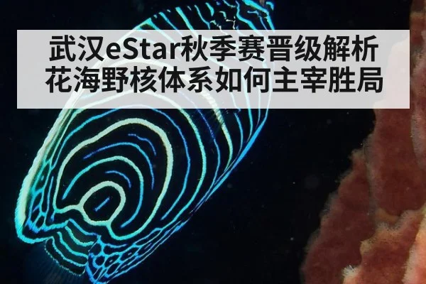 武汉eStar秋季赛晋级解析 花海野核体系如何主宰胜局