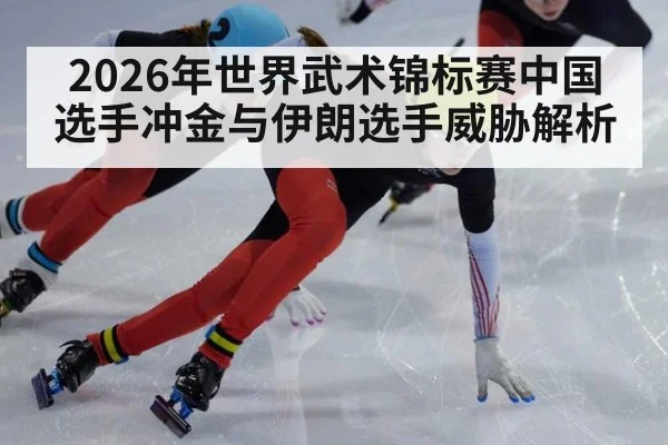 2026年世界武术锦标赛中国选手冲金与伊朗选手威胁解析